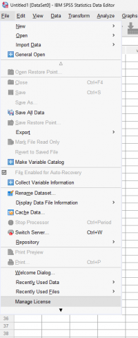 SPSS-01.PNG